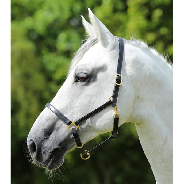 Premier Equine Plasco Halter  Full