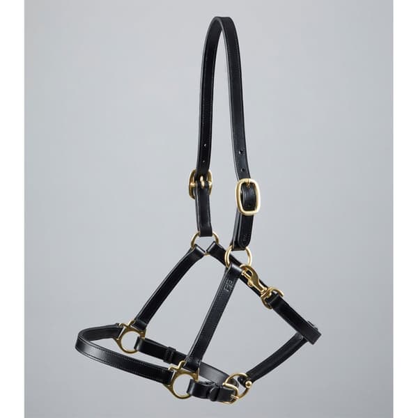 Premier Equine Plasco Halter  Full
