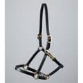 Miniatyrbild 1 av 4: Premier Equine Plasco Halter  Extra Full