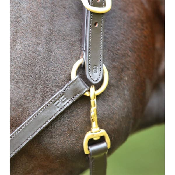 Premier Equine Plasco Halter Extra Full