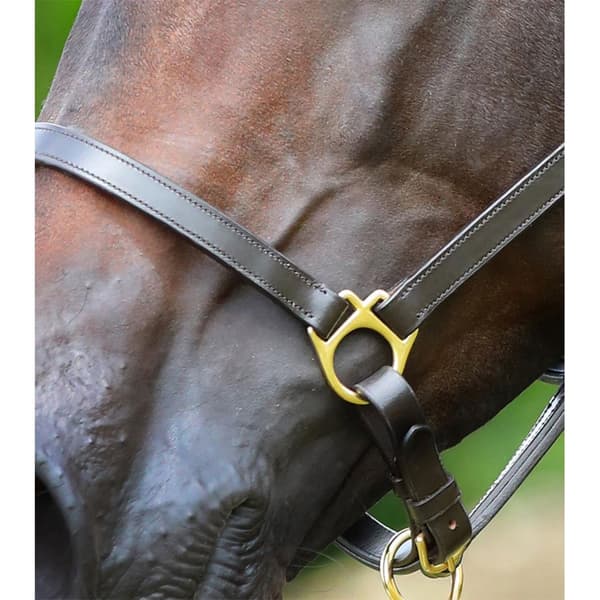 Premier Equine Plasco Halter Extra Full