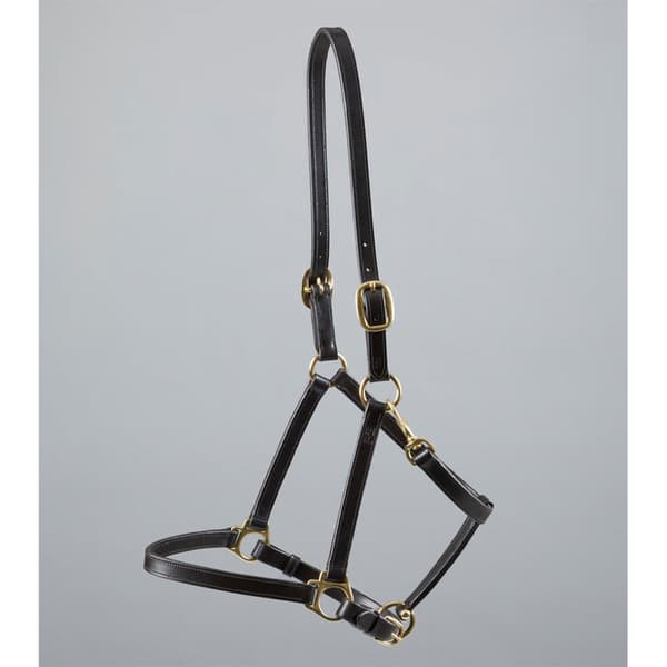Premier Equine Plasco Halter Extra Full