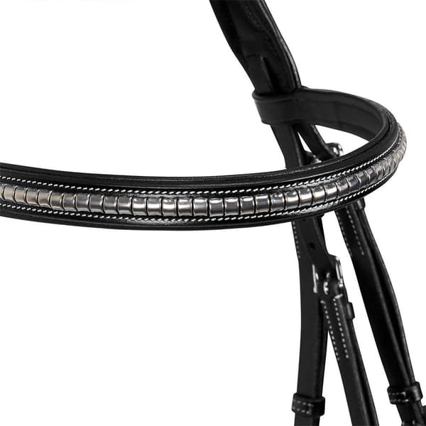 Equestro Np Halter  Pony