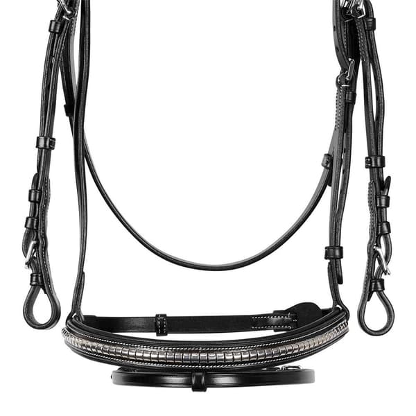 Equestro Np Halter  Pony