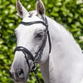 Miniatyrbillede 5 af 5: Premier Equine Cassano Tøjle  Full