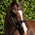 Miniatyrbild 5 av 5: Premier Equine Mineo Pony Tygel  Pony