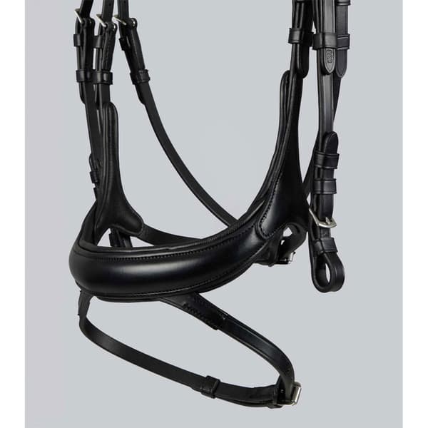 Premier Equine Palazzo Tygel  Full