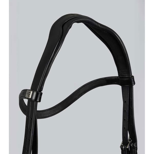 Premier Equine Palazzo Tygel  Full