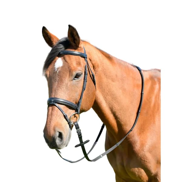 Kincade Classic Raised Flash Leather Plain Horse Bridle With Reins