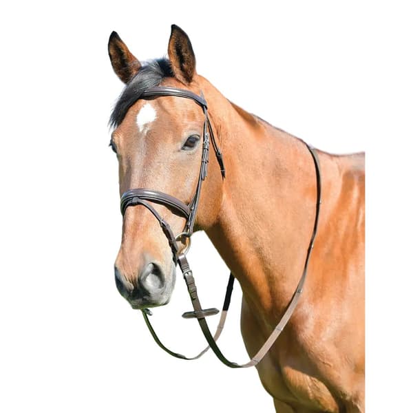 Kincade Classic Raised Flash Leather Plain Horse Bridle With Reins