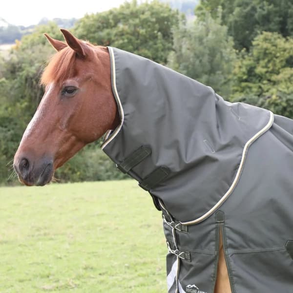 Highlander Plus Horse Turnout Neck Cover Green M