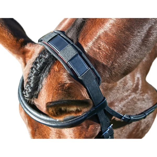Weatherbeeta Therapy-Tec Anatomy Poll Pad