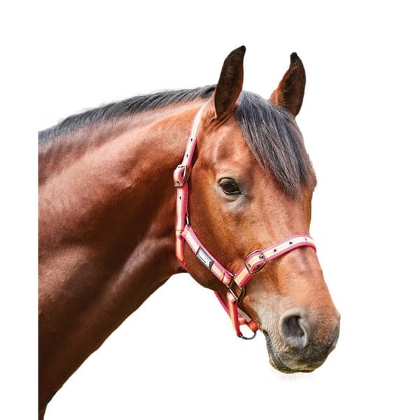 Roma Stripe Headcollar til heste