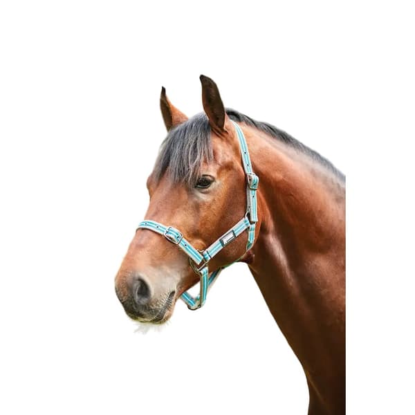 Roma Stripe Horse Headcollar Grey/Peach/Turquoise Pony