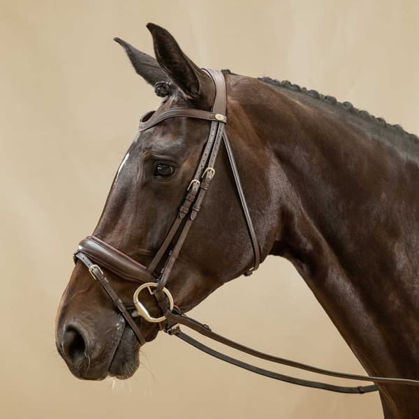 Dyon Working Collection Matt Brett Nosgrimma Med Flash Brun Pony