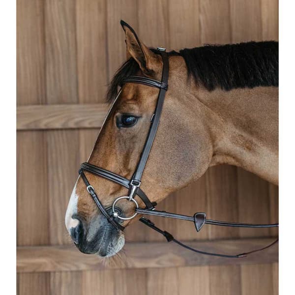 Dyon Working Collection Träningsbett Brun Pony