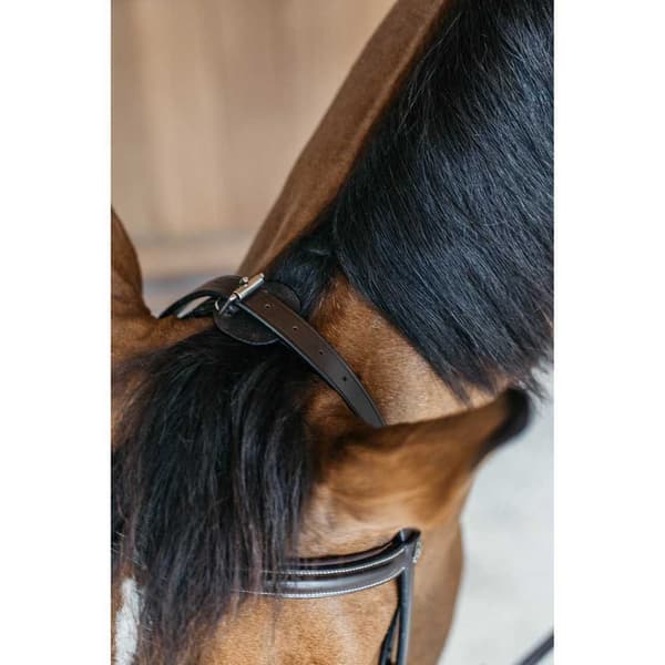 Dyon Working Collection Träningsbett Brun Pony