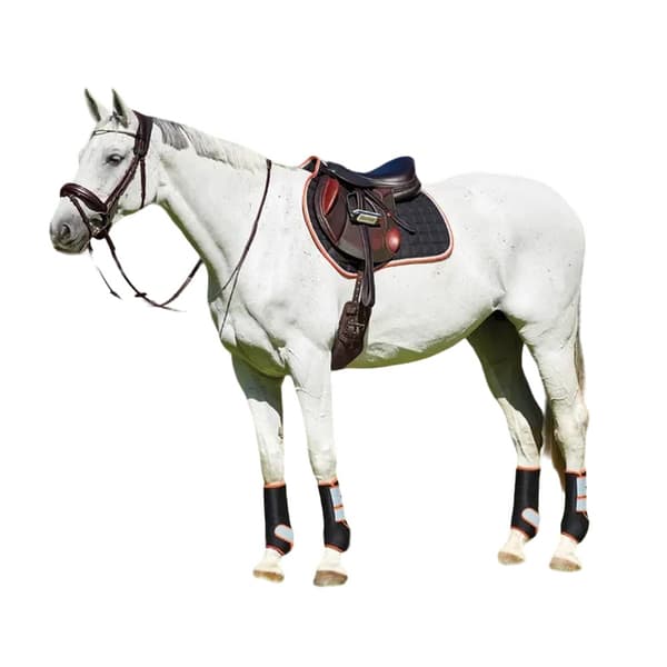 Weatherbeeta Therapy-Tec Horse Saddlepad