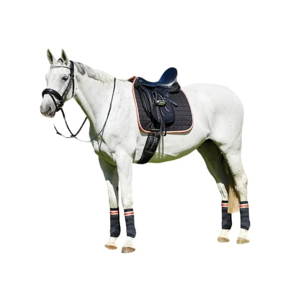Weatherbeeta Therapy-Tec Horse Dressage Saddlepad