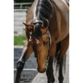 Pikkukuva 3 / 3: Norton Equestrian Freedom Suitset  Full