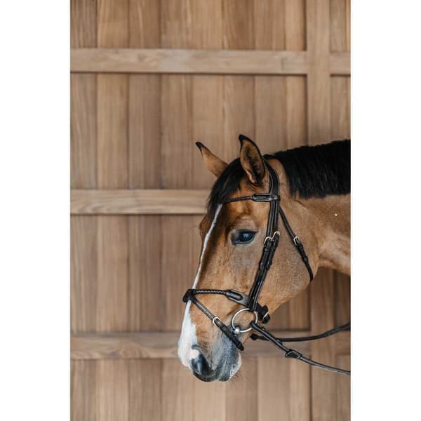 Dyon Flätat Nosband Med Avtagbar Nosgrimma Svart Pony