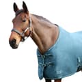 Pikkukuva 2 / 4: StormX Empra Pima Standard-Neck Horse Summer Sheet