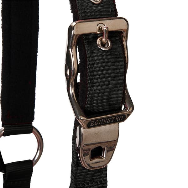 Equestro Shiny Fittings Grime Og Førerem Sort Cob