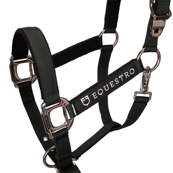 Equestro Shiny Fittings Grime Og Førerem Sort Cob