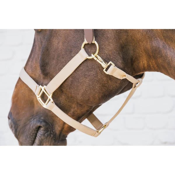 Kentucky Breakaway Halter  Full