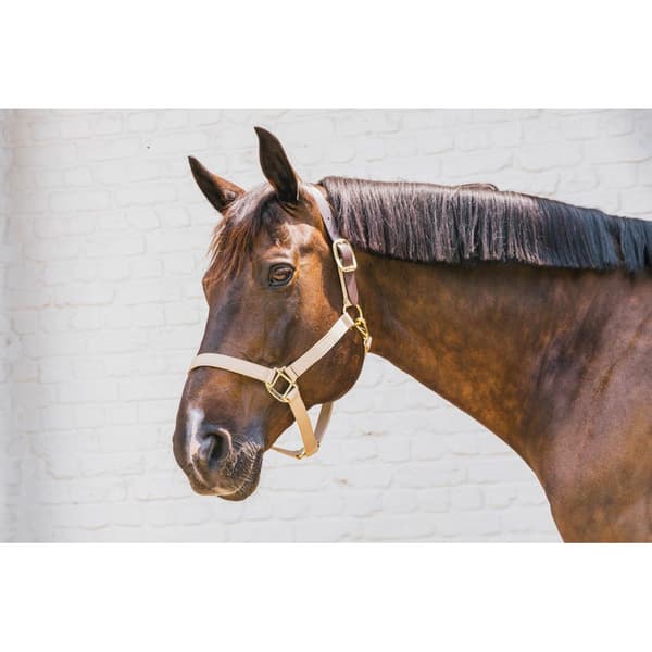 Kentucky Breakaway Halter  Full