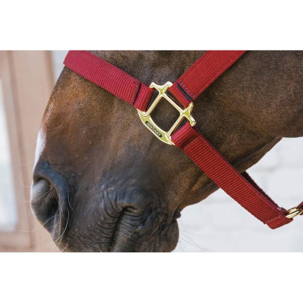 Kentucky Breakaway Halter  Full