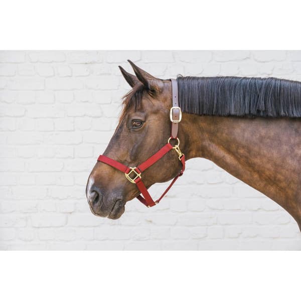 Kentucky Breakaway Halter  Full