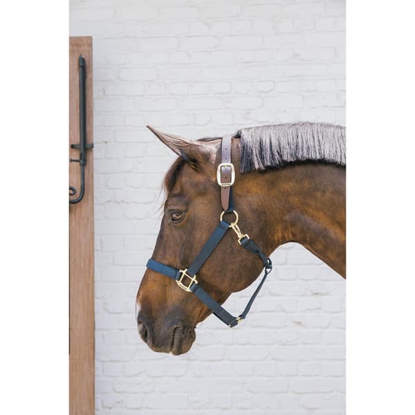 Kentucky Breakaway Halter  Cob