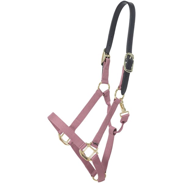 Kentucky Breakaway Halter  Cob
