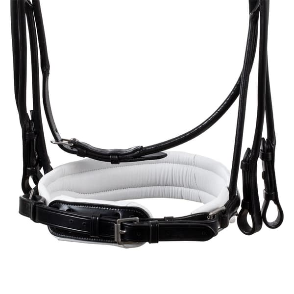 Acavallo Parnaso Suitset  Full