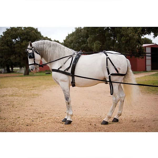 Hispano Hipica Hagen Single Racing Harness Bröstplåt Svart Cob