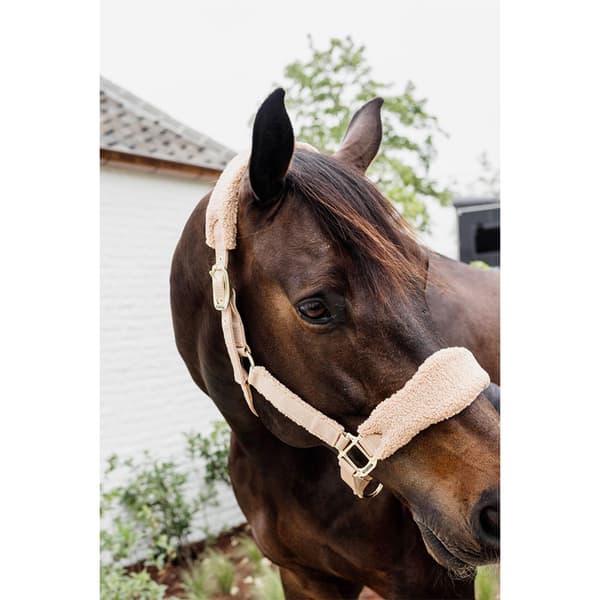 Kentucky Teddy Fleece Grimma  Pony