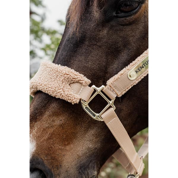 Kentucky Teddy Fleece Grimma  Pony