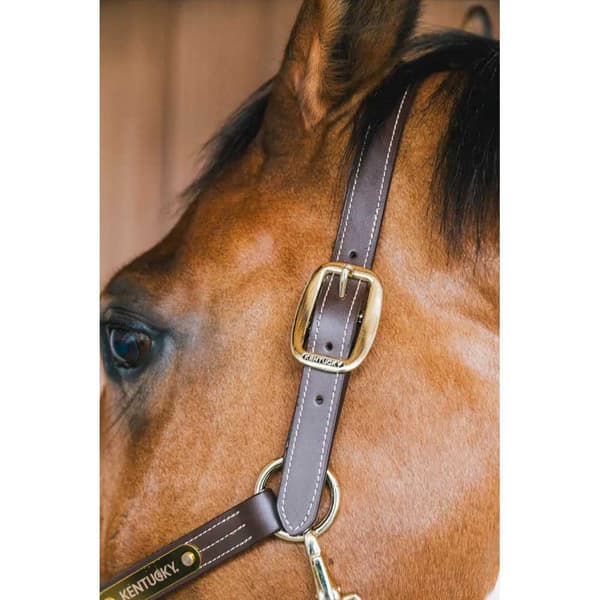 Kentucky Wellington Halter  Full