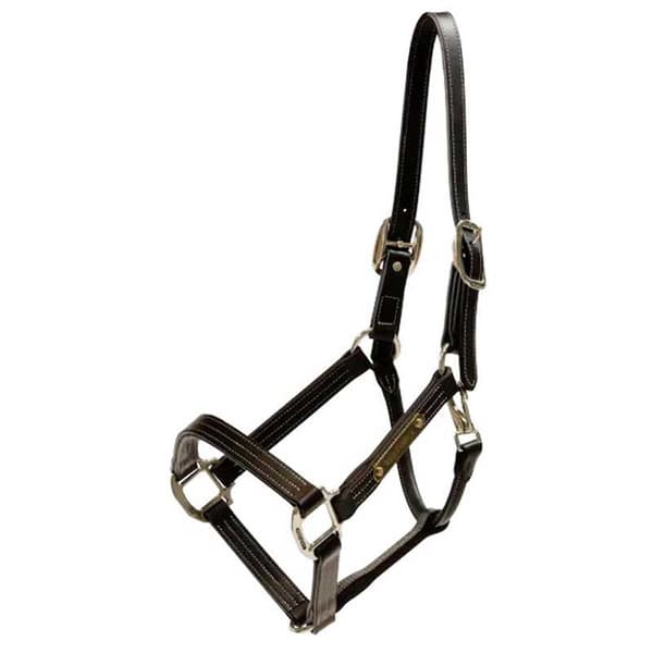 Kentucky Wellington Halter  Full