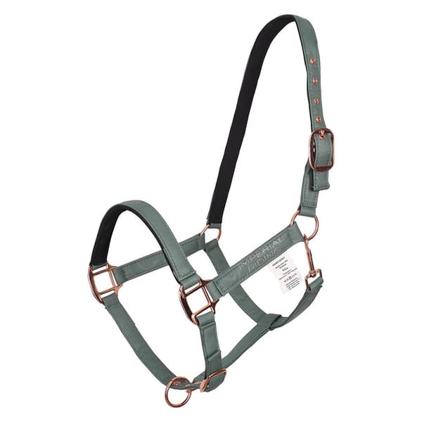 Imperial Riding Ambient Halter Pony