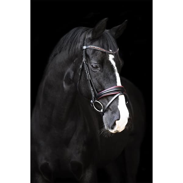 Imperial Riding Fria Tygel Pony