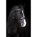 Miniatyrbild 2 av 2: Imperial Riding Fria Tygel  Pony