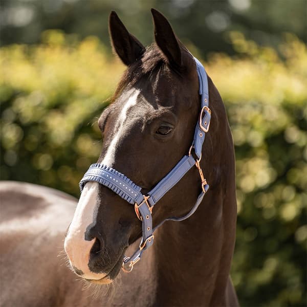Imperial Riding Lovely Halter Pony