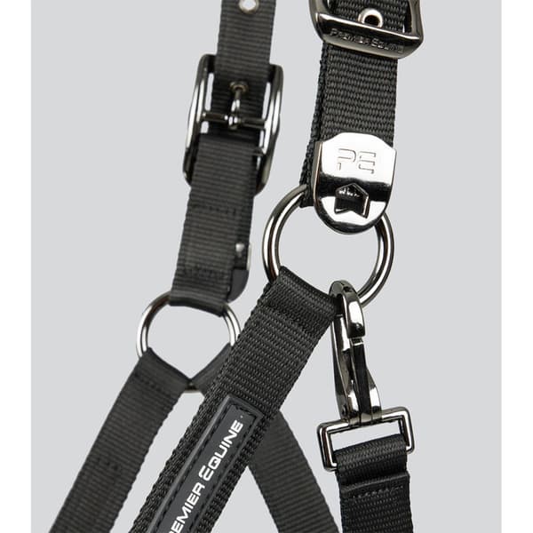 Premier Equine Corda Padded Grime Og Førerem Full
