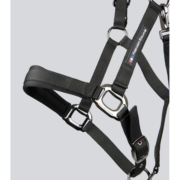 Premier Equine Corda Padded Grime Og Førerem  Full