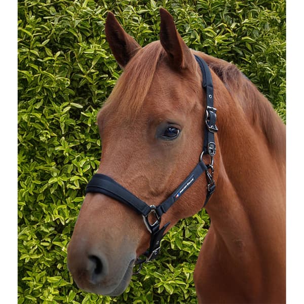 Premier Equine Corda Padded Grime Og Førerem Full