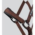 Miniatyrbillede 4 af 6: Premier Equine Corda Padded Grime Og Førerem  Cob