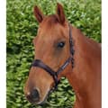 Miniatyrbillede 6 af 6: Premier Equine Corda Padded Grime Og Førerem  Cob