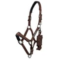 Miniatyrbillede 1 af 6: Premier Equine Corda Padded Grime Og Førerem  Cob